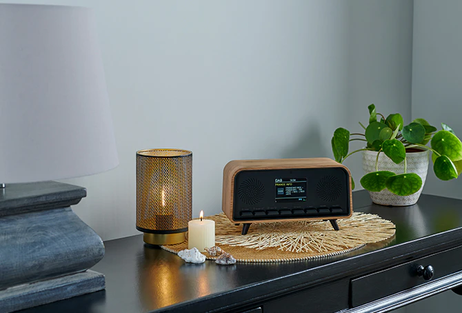 RT850DABBT